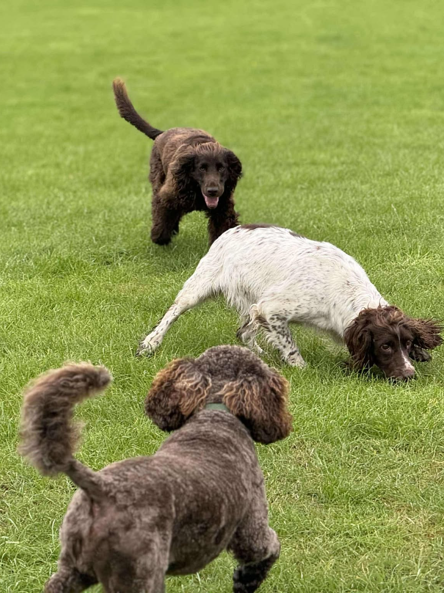 image_2024_12_10T21_27_09_761Z (1)